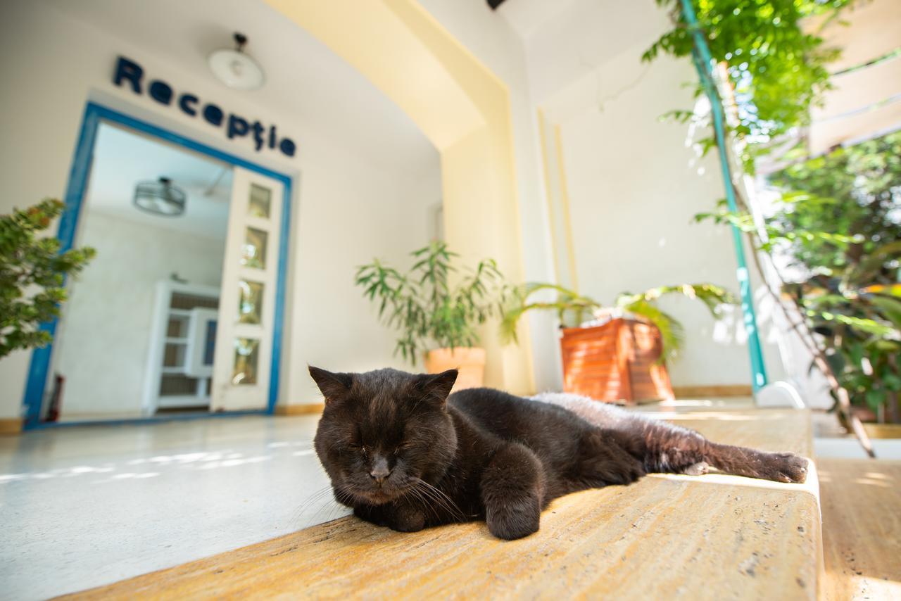Villa Pontica Năvodari Buitenkant foto